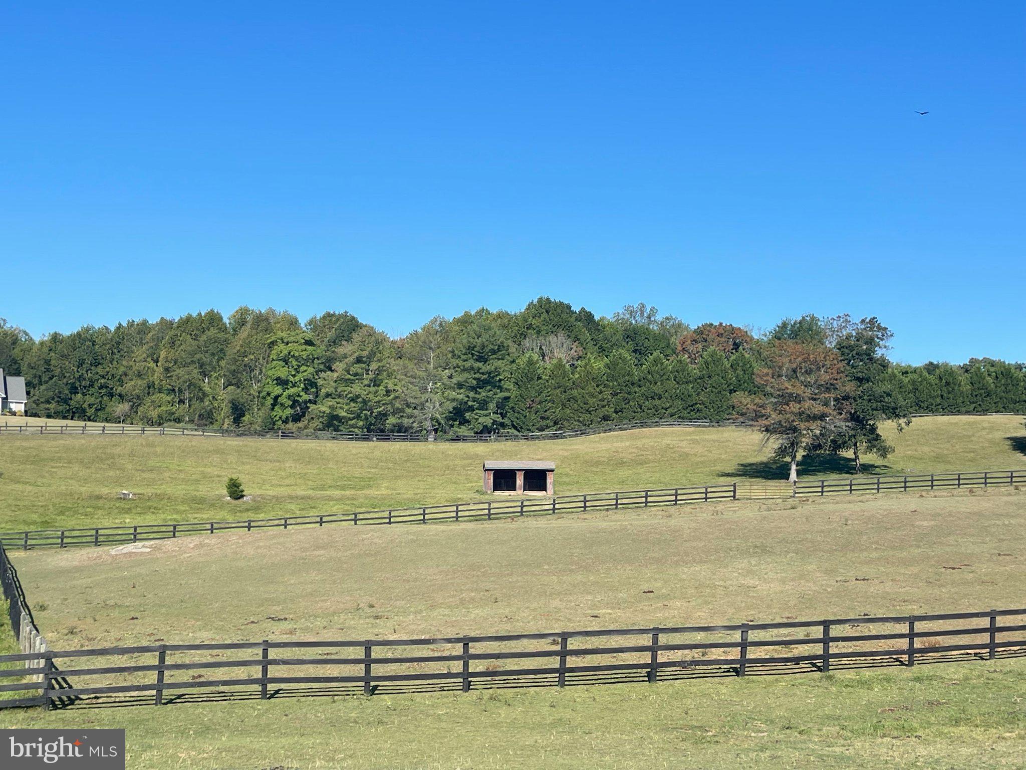 7747 Riverside Farm Road Marshall, VA 20115 - Photo 60 of 69 Serene pasture under a clear blue sky.