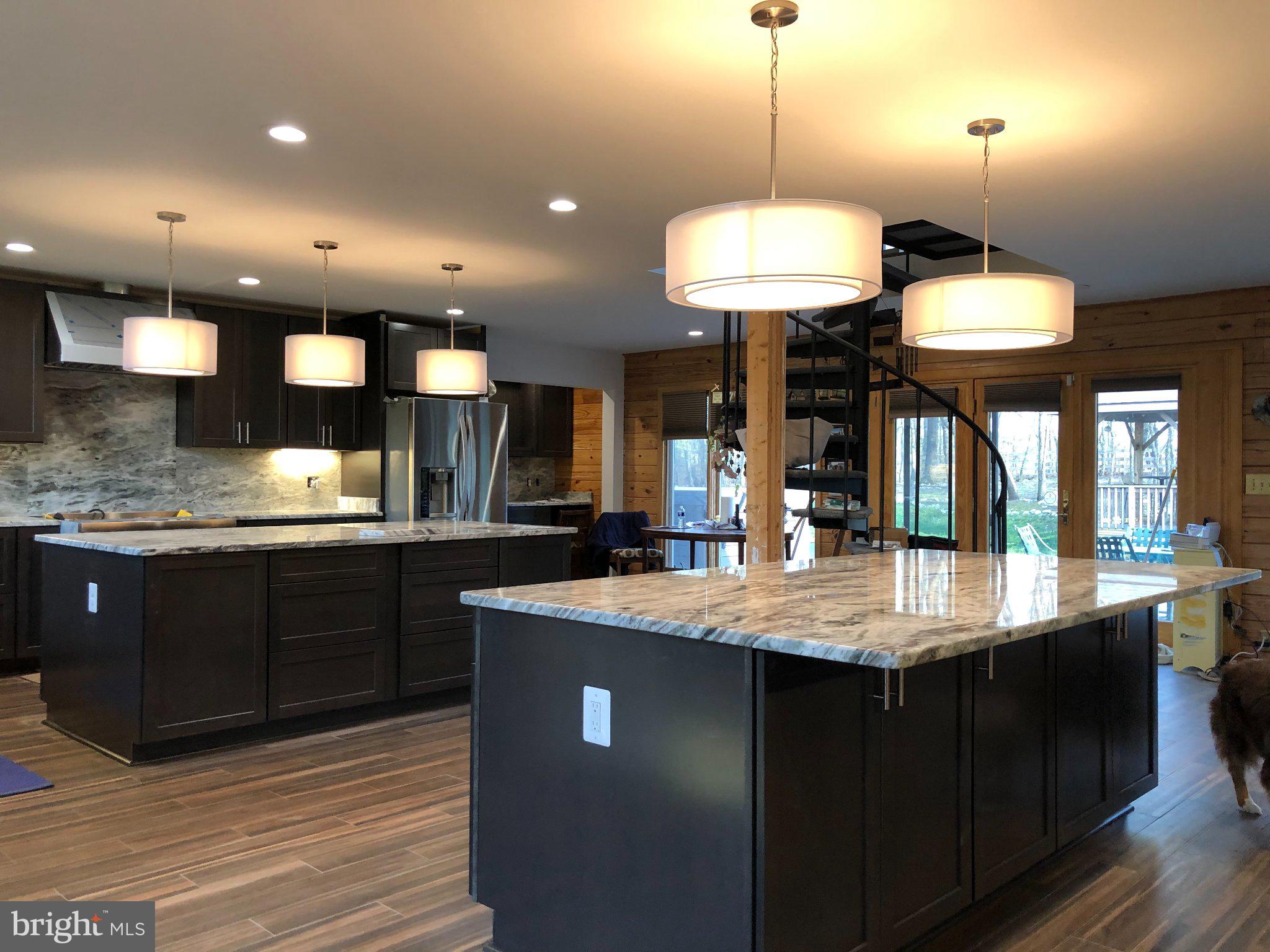 7747 Riverside Farm Road Marshall, VA 20115 - Photo 6 of 69 Modern kitchen with elegant lighting.