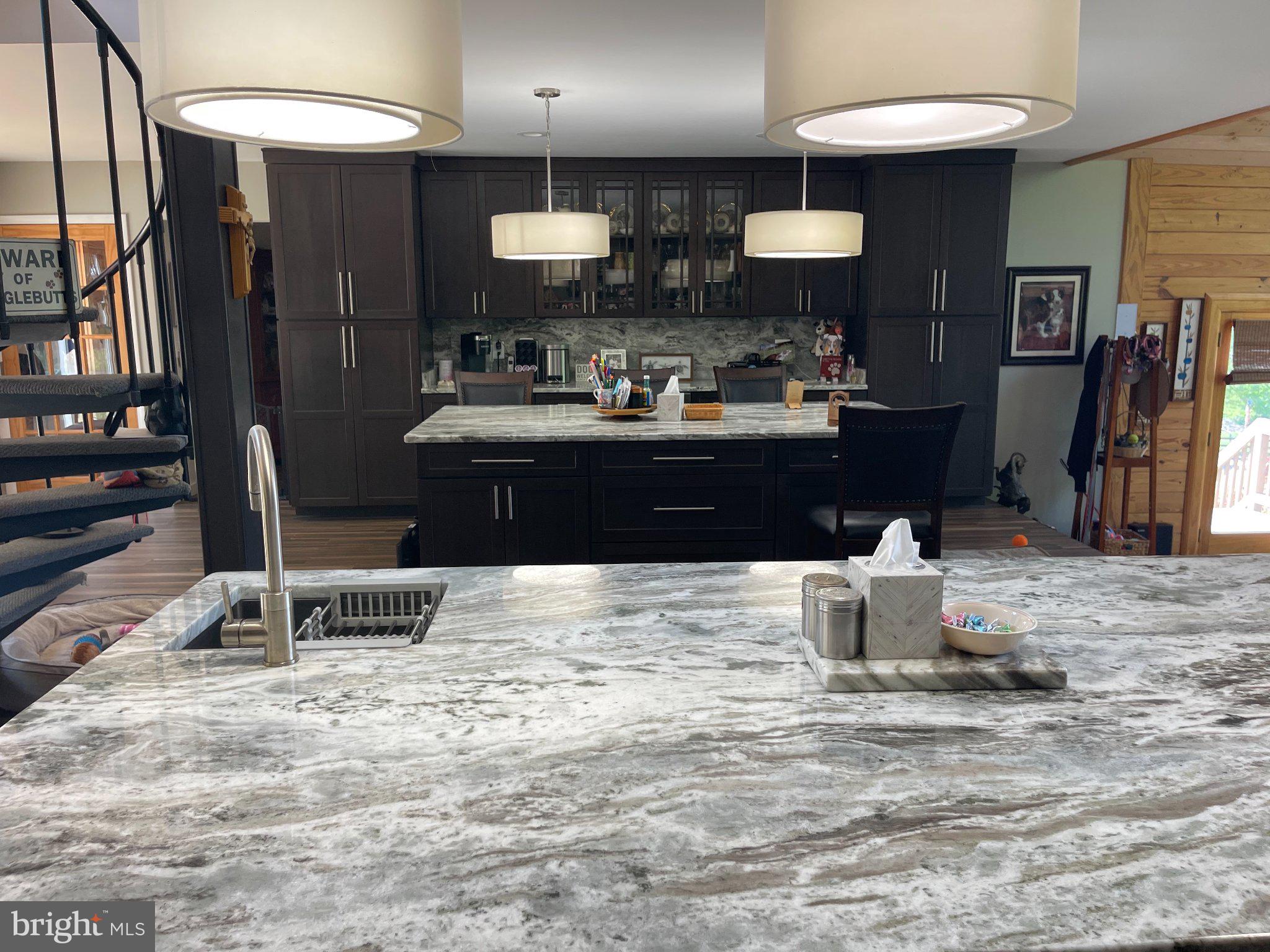 7747 Riverside Farm Road Marshall, VA 20115 - Photo 9 of 69 Modern kitchen with elegant finishes.
