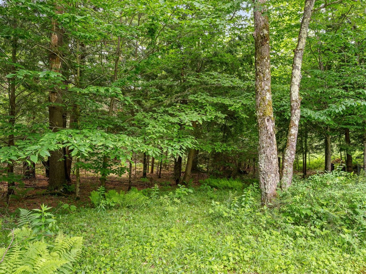 98 Leary Road Jericho, VT 05465 - Photo 38 of 47