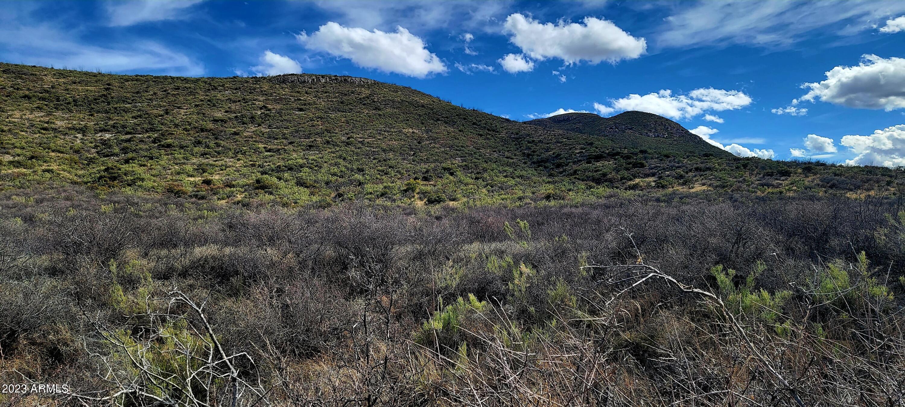 Lot 9 West Red Mountain Road, Unit 9 Bisbee, AZ 85603 - Photo 3 of 6