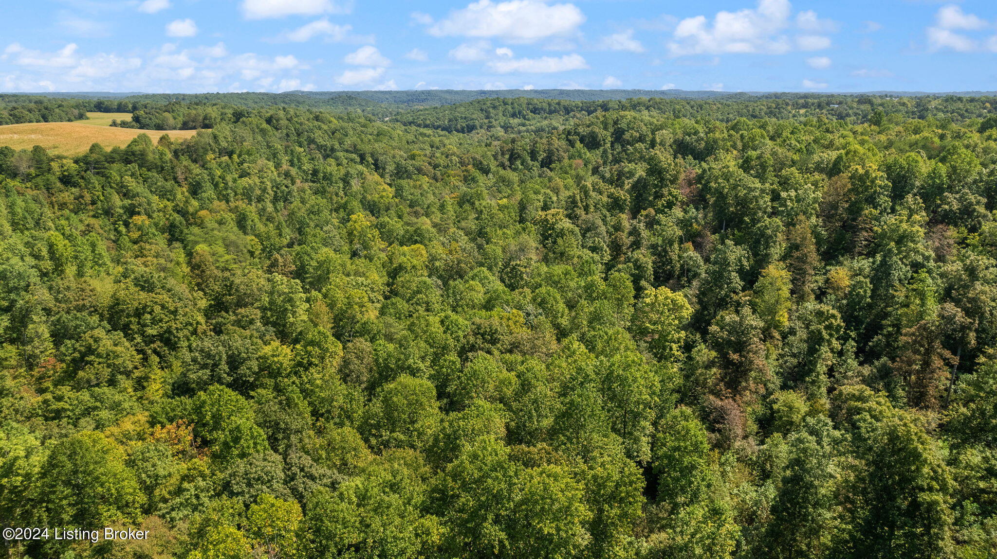 0 Jock Road Bee Spring, KY 42207 - Photo 32 of 42 31-web-or-mls-DJI_0851