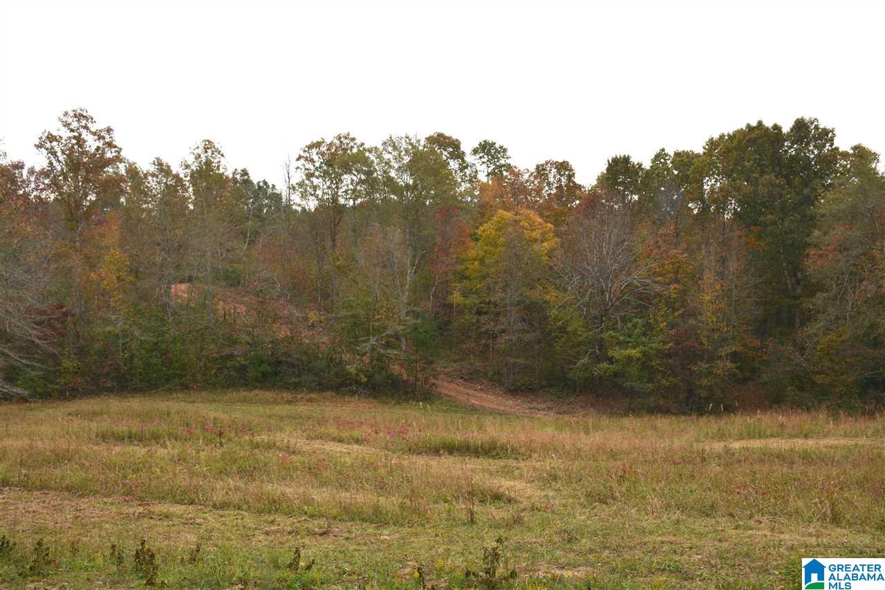 0 Jackson Loop Road, Unit 1 Ragland, AL 35131 - Photo 10 of 27