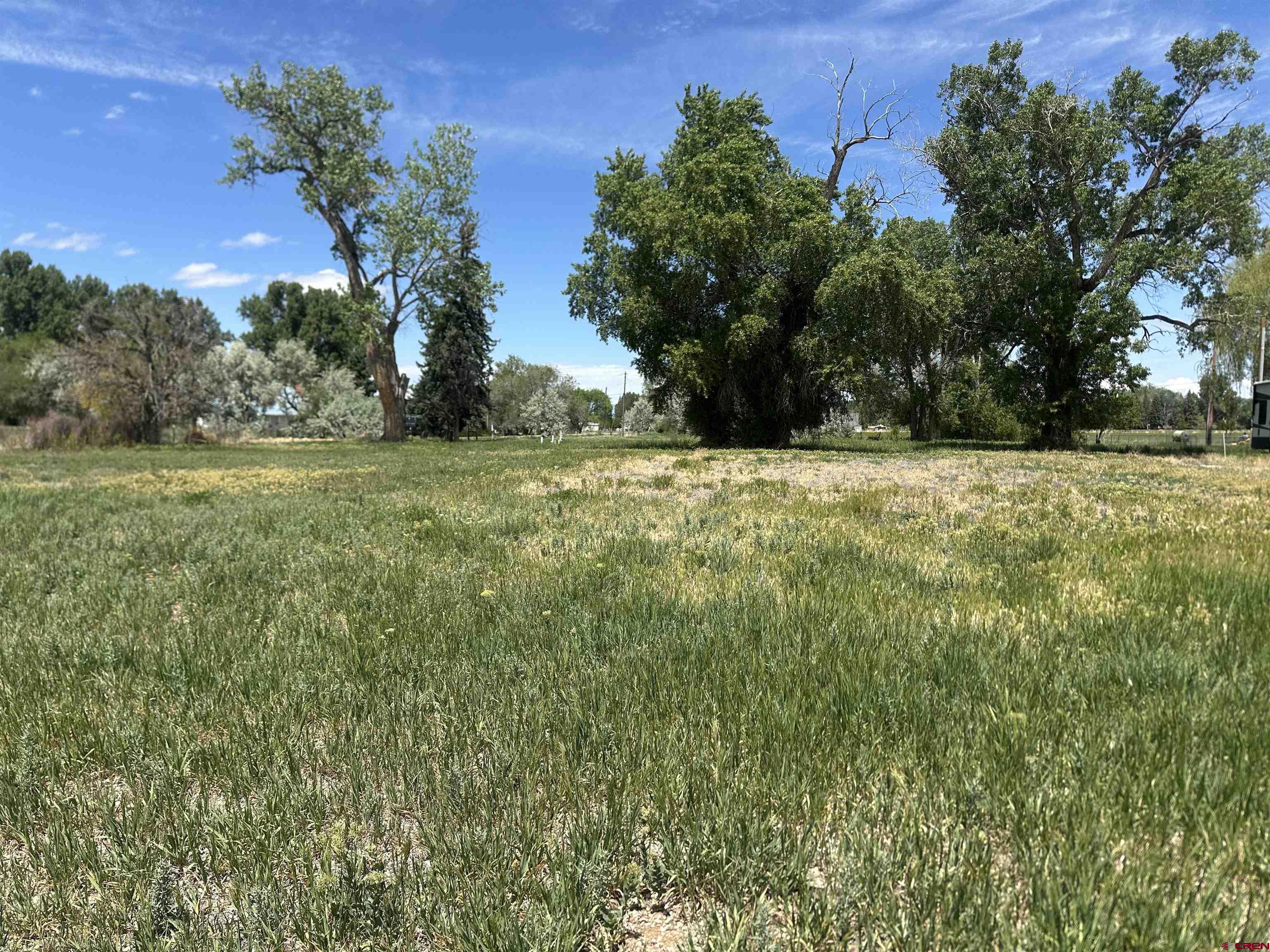 16674 6300 Road Montrose, CO 81403 - Photo 18 of 29