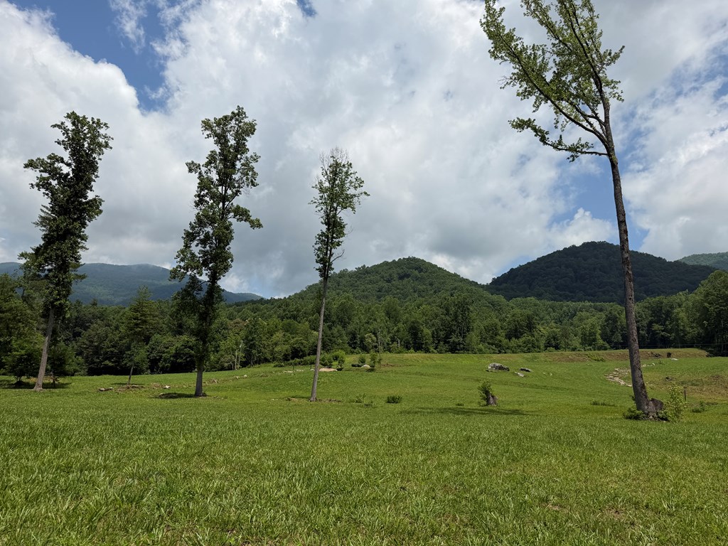 1446 Muskrat Creek Road Hayesville, NC 28904 - Photo 19 of 108