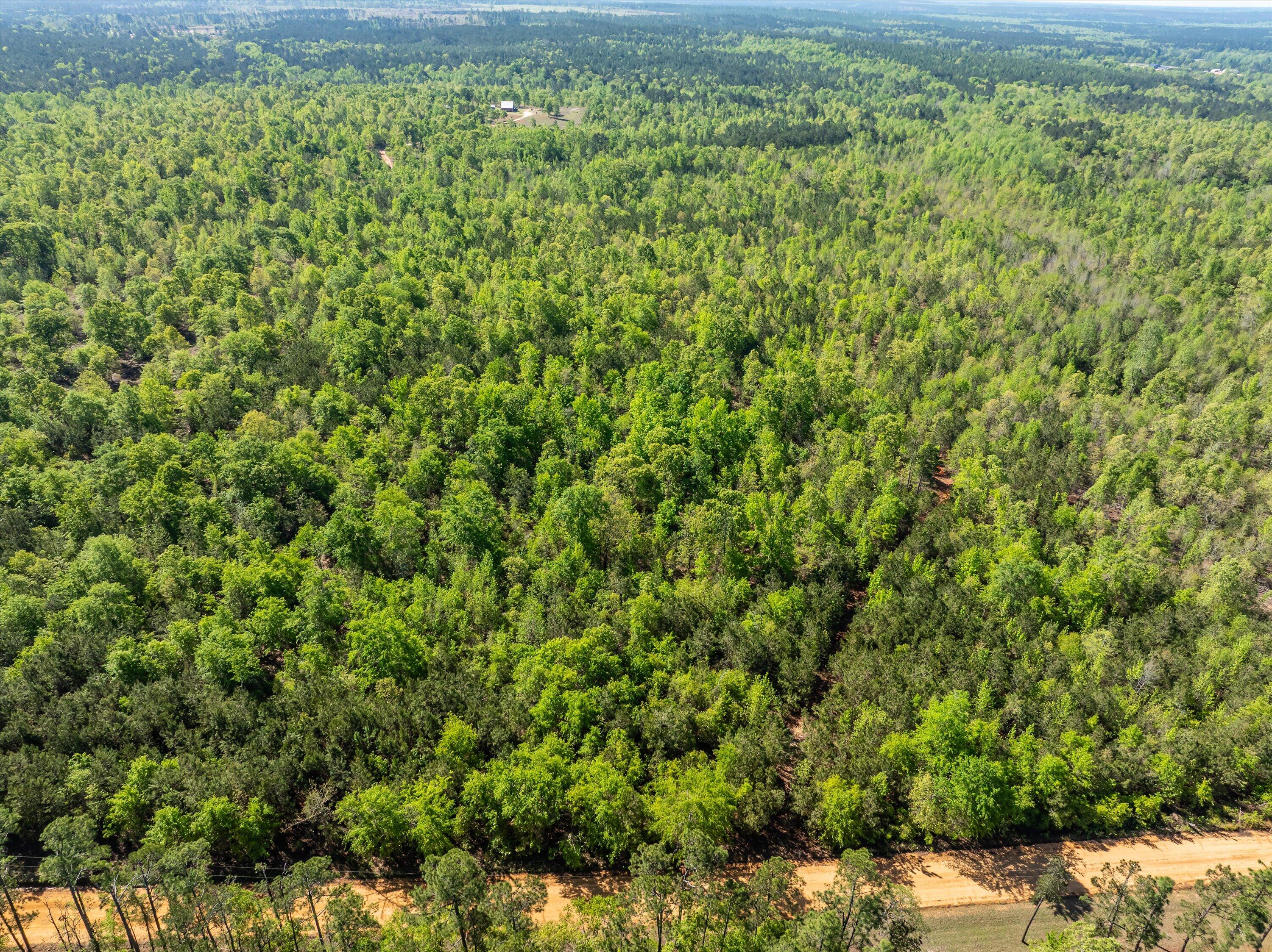 0 Whitaker Road Harlem, GA 30814 - Photo 11 of 28 11-DJI_0659-HDR