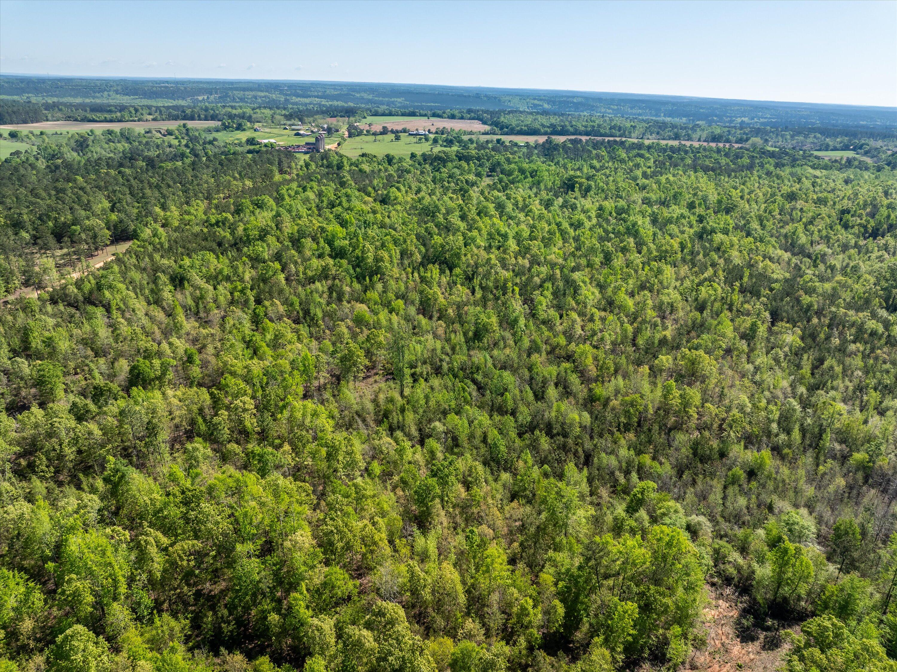 0 Whitaker Road Harlem, GA 30814 - Photo 12 of 28 12-DJI_0662-HDR