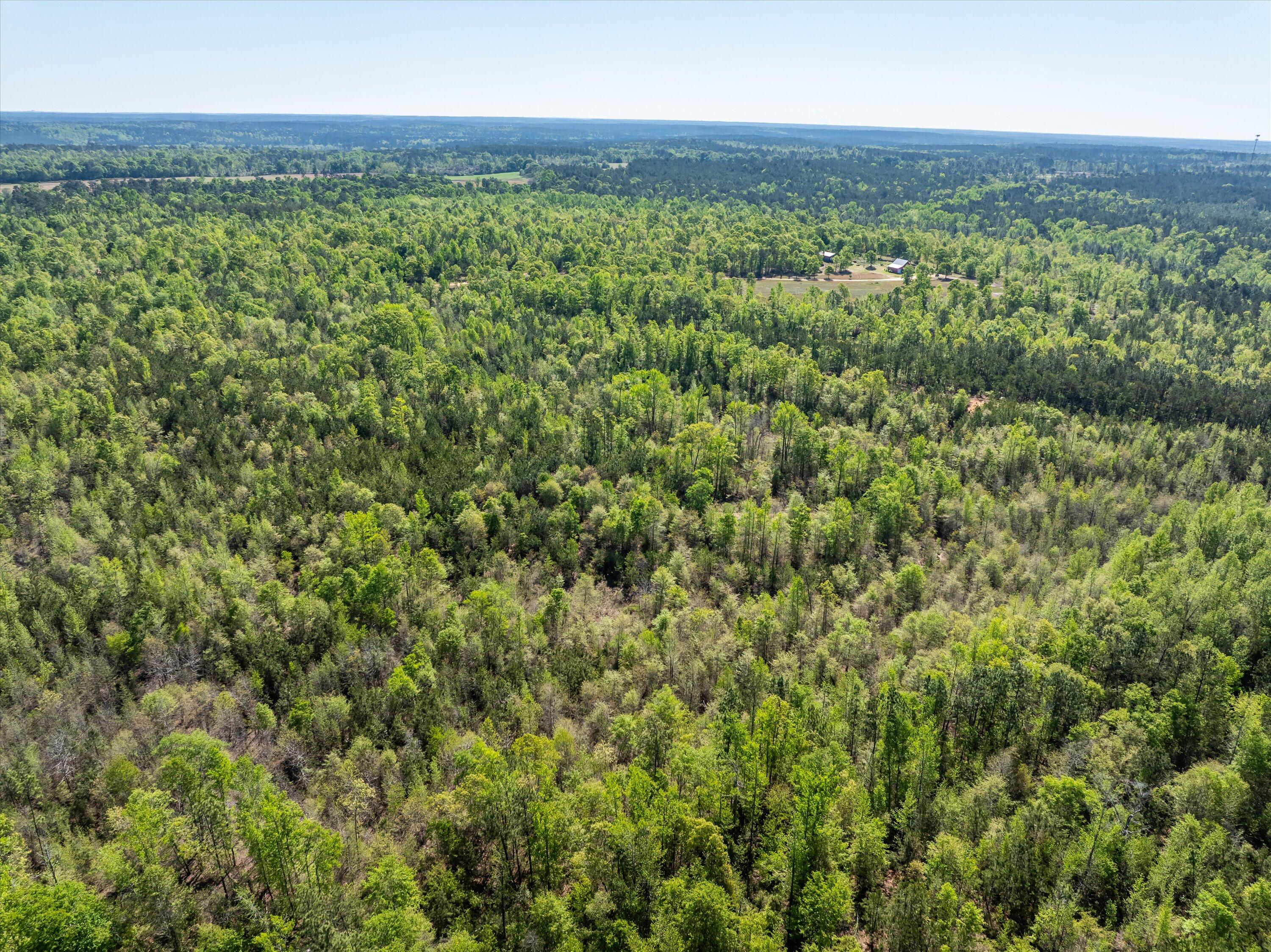 0 Whitaker Road Harlem, GA 30814 - Photo 13 of 28 13-DJI_0665-HDR