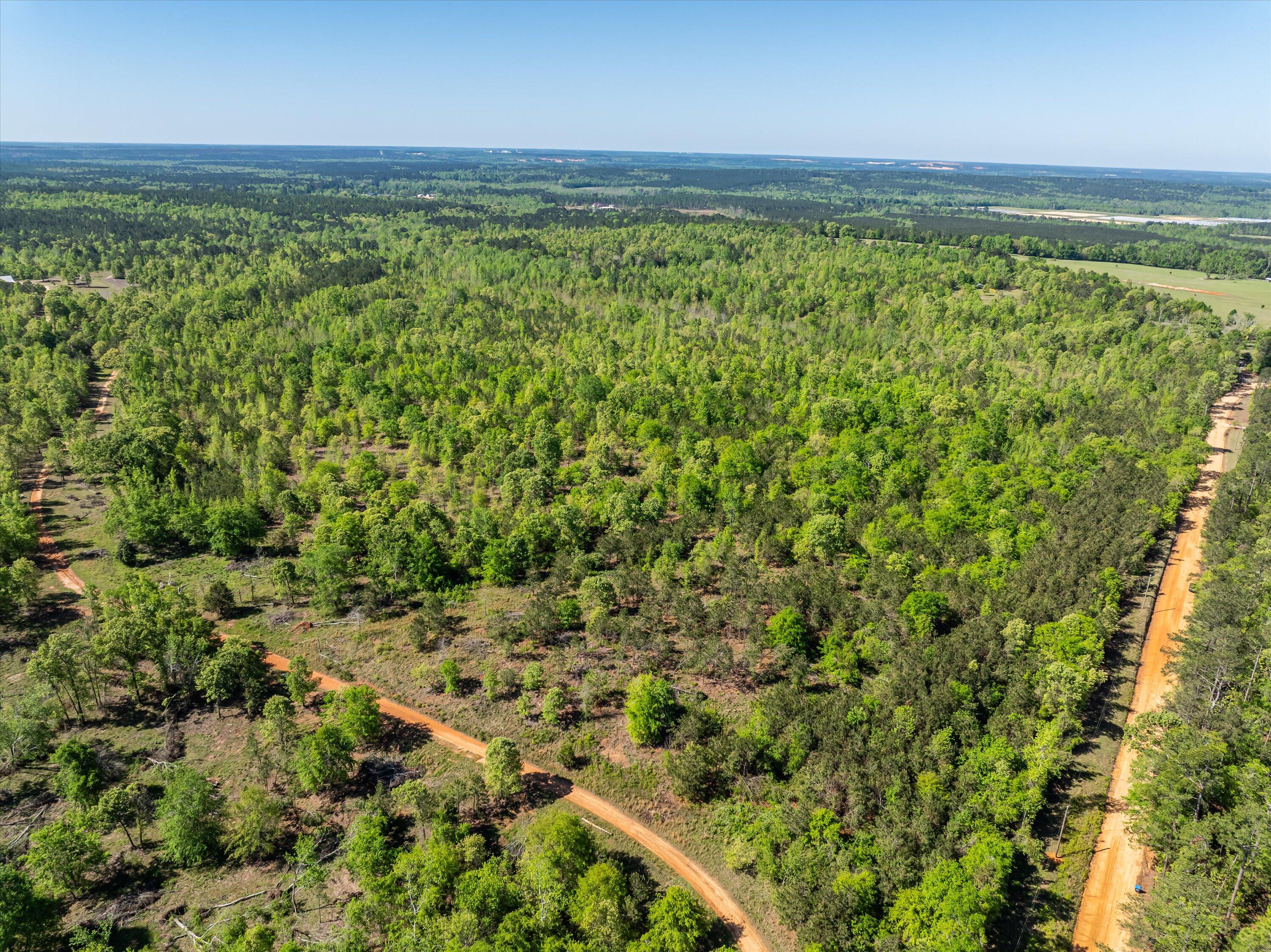 0 Whitaker Road Harlem, GA 30814 - Photo 21 of 28 21-DJI_0689-HDR