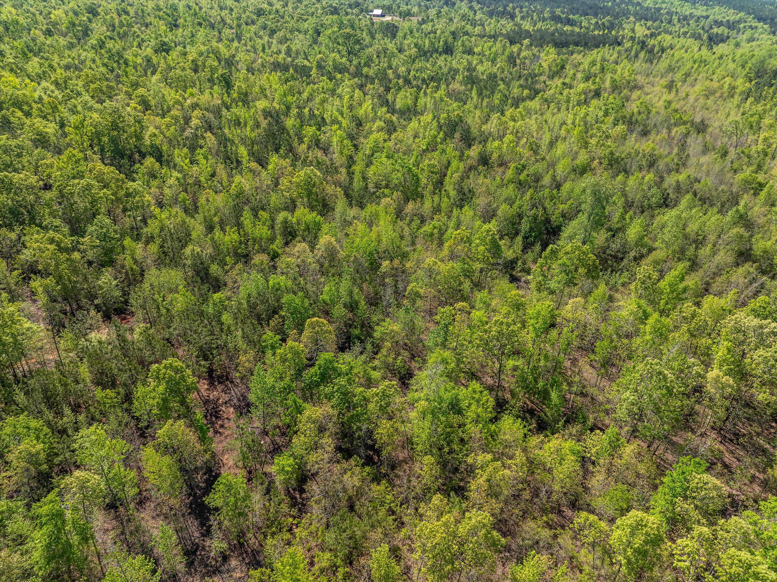 0 Whitaker Road Harlem, GA 30814 - Photo 23 of 28 23-DJI_0692-HDR