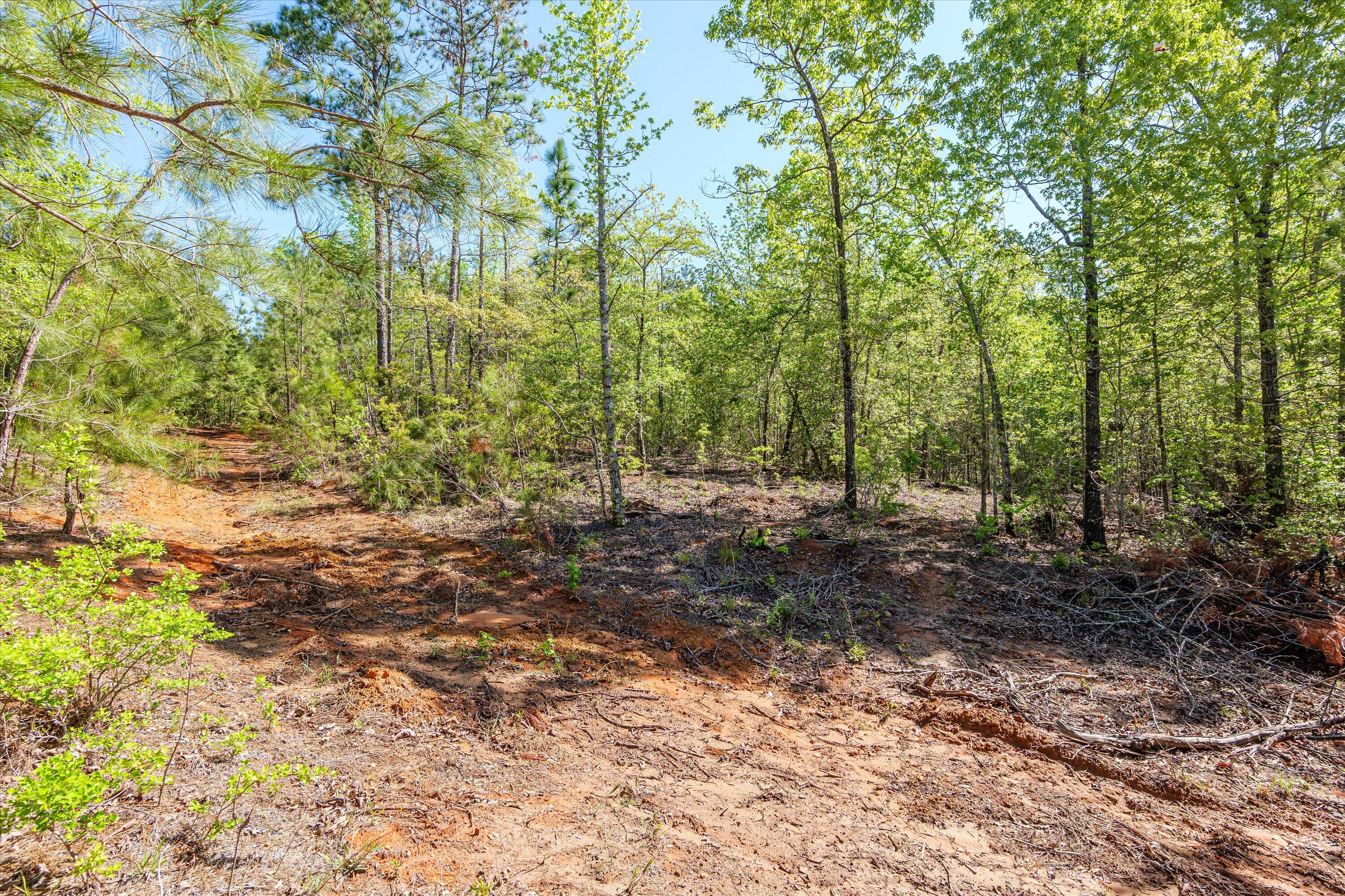 0 Whitaker Road Harlem, GA 30814 - Photo 28 of 28 28-PS521829