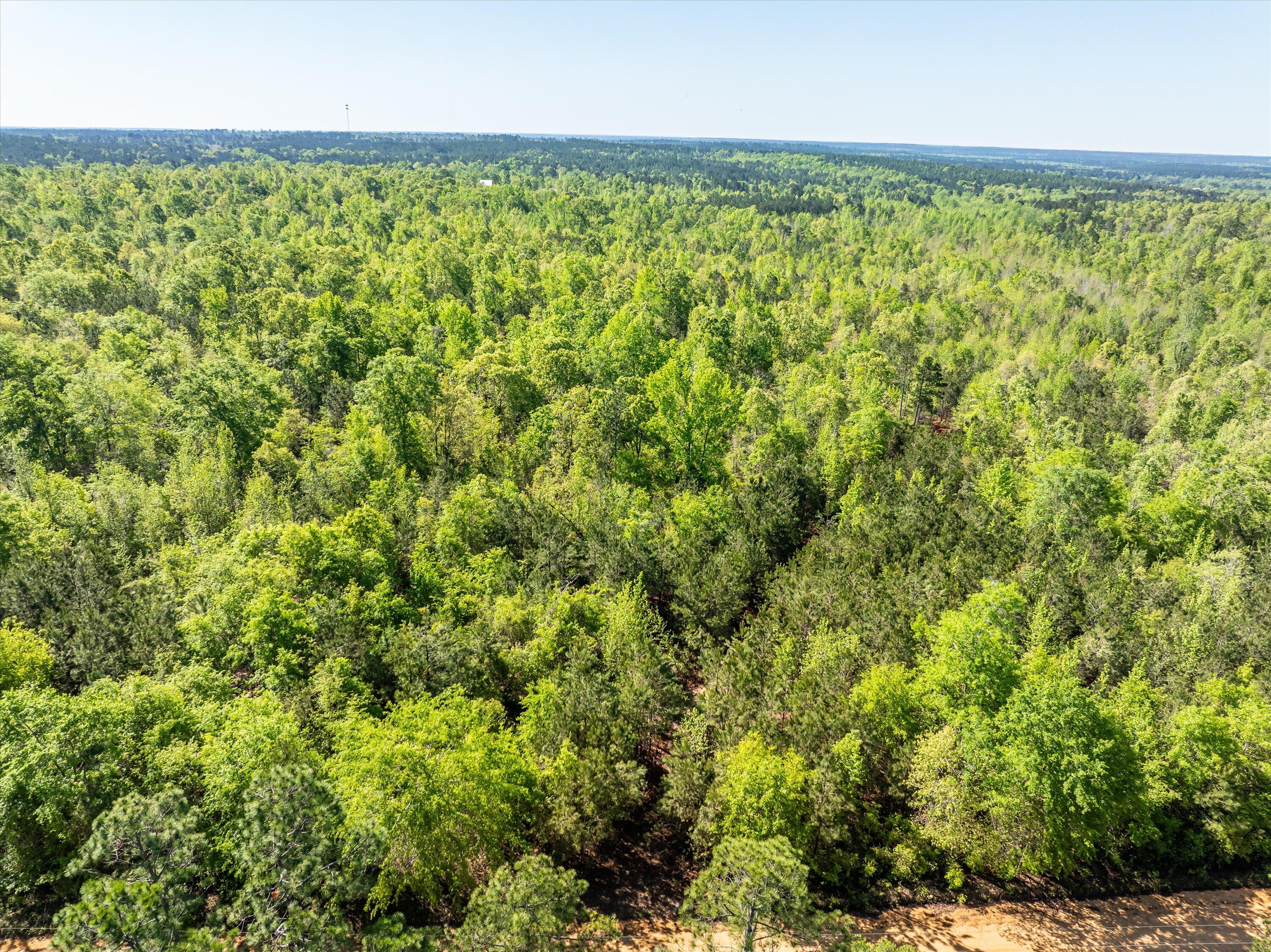 0 Whitaker Road Harlem, GA 30814 - Photo 3 of 28 02-DJI_0632-HDR