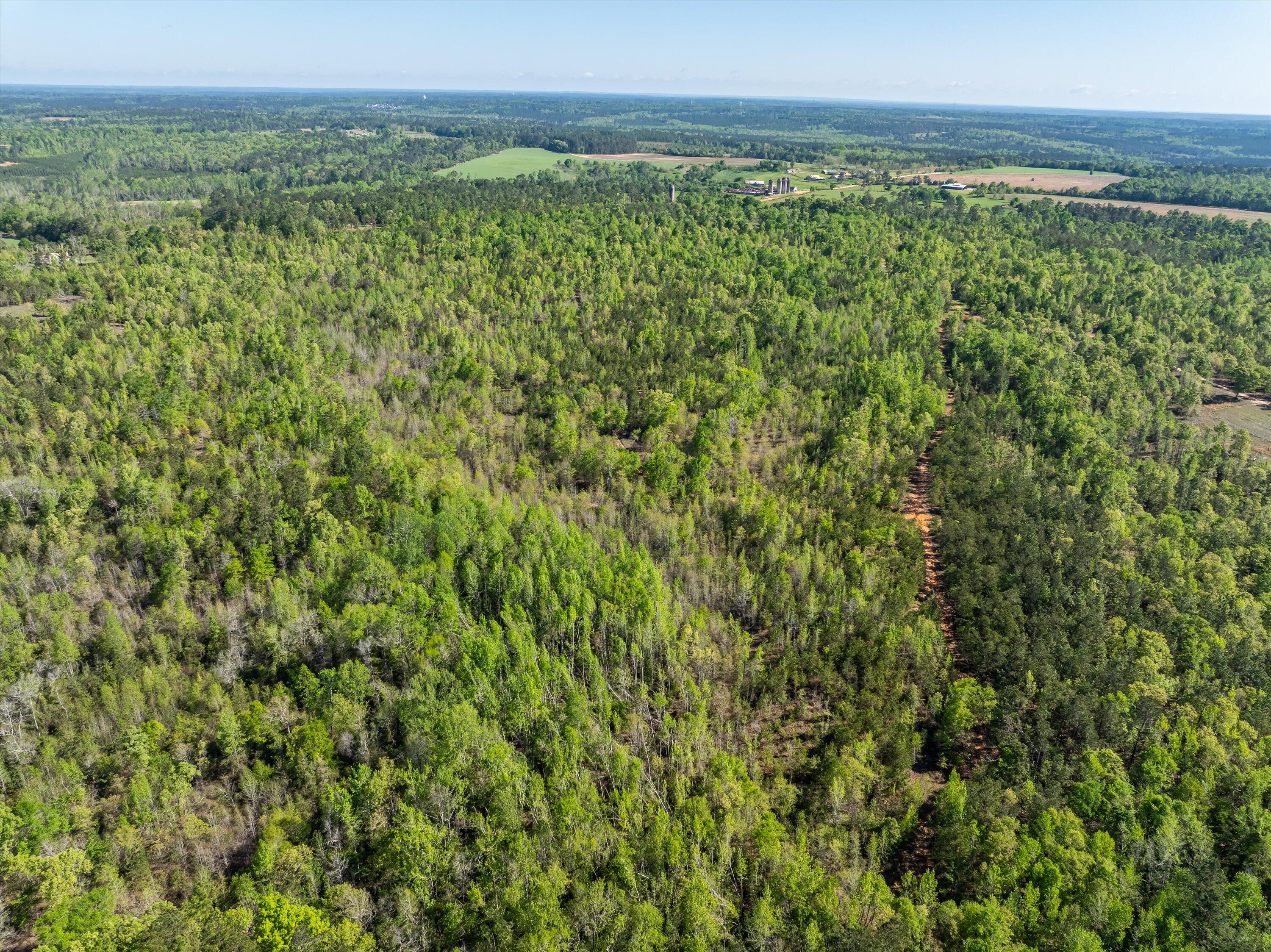 0 Whitaker Road Harlem, GA 30814 - Photo 4 of 28 04-DJI_0638-HDR