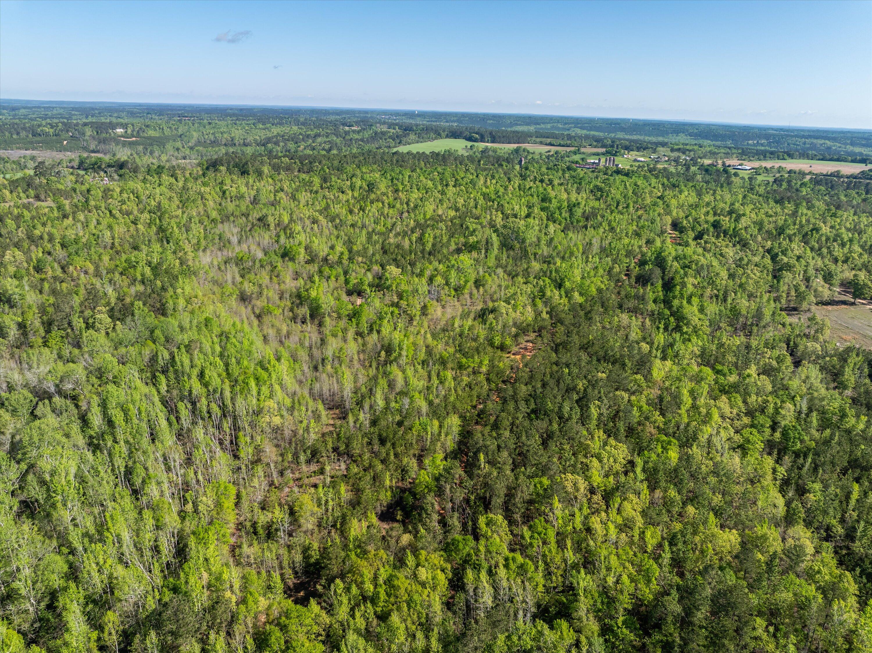 0 Whitaker Road Harlem, GA 30814 - Photo 5 of 28 05-DJI_0641-HDR