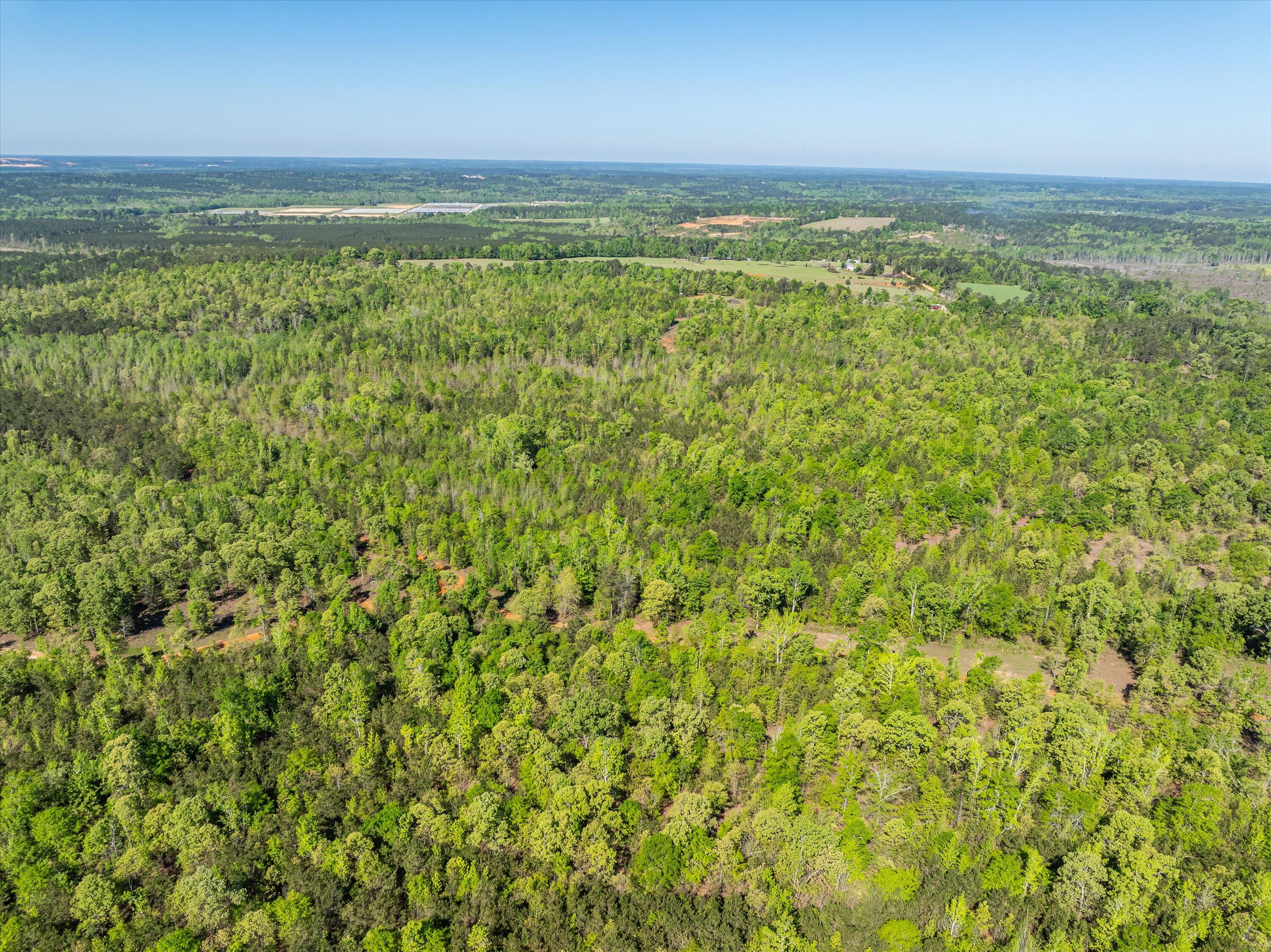 0 Whitaker Road Harlem, GA 30814 - Photo 6 of 28 06-DJI_0644-HDR