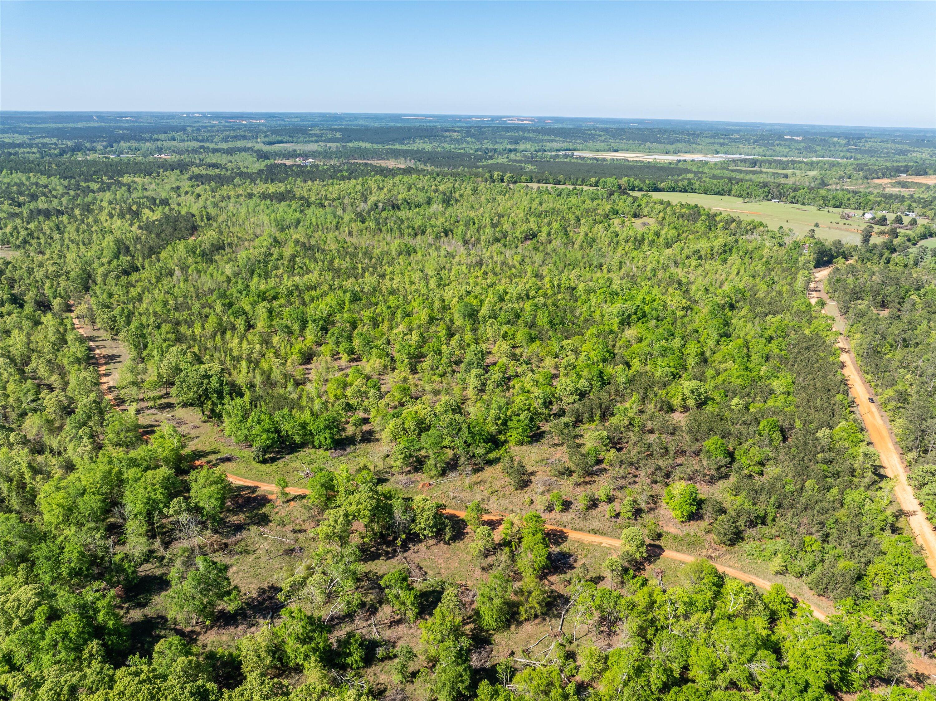 0 Whitaker Road Harlem, GA 30814 - Photo 7 of 28 07-DJI_0647-HDR
