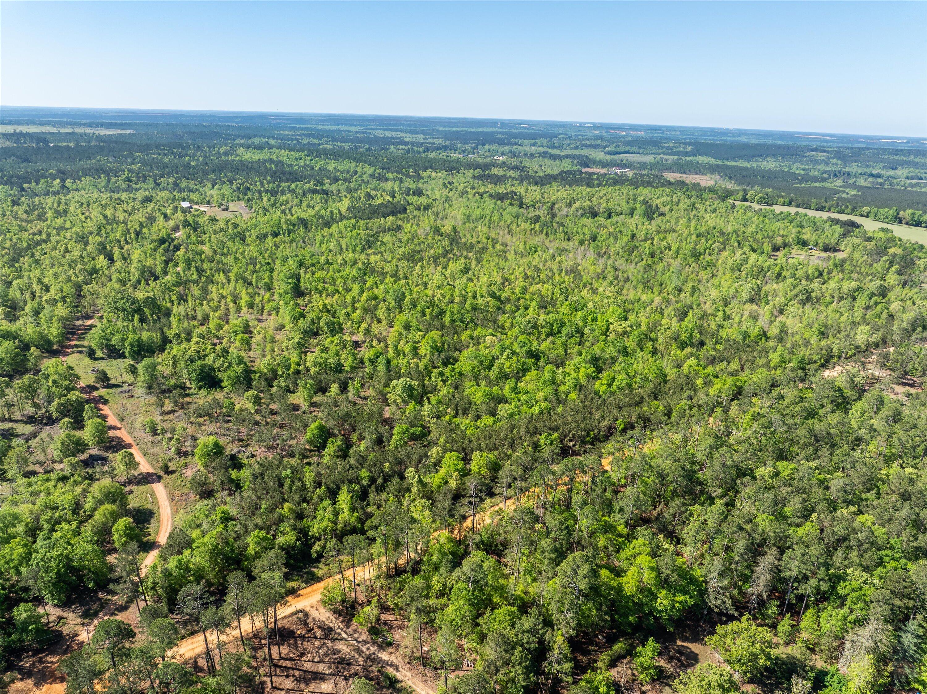 0 Whitaker Road Harlem, GA 30814 - Photo 8 of 28 08-DJI_0650-HDR