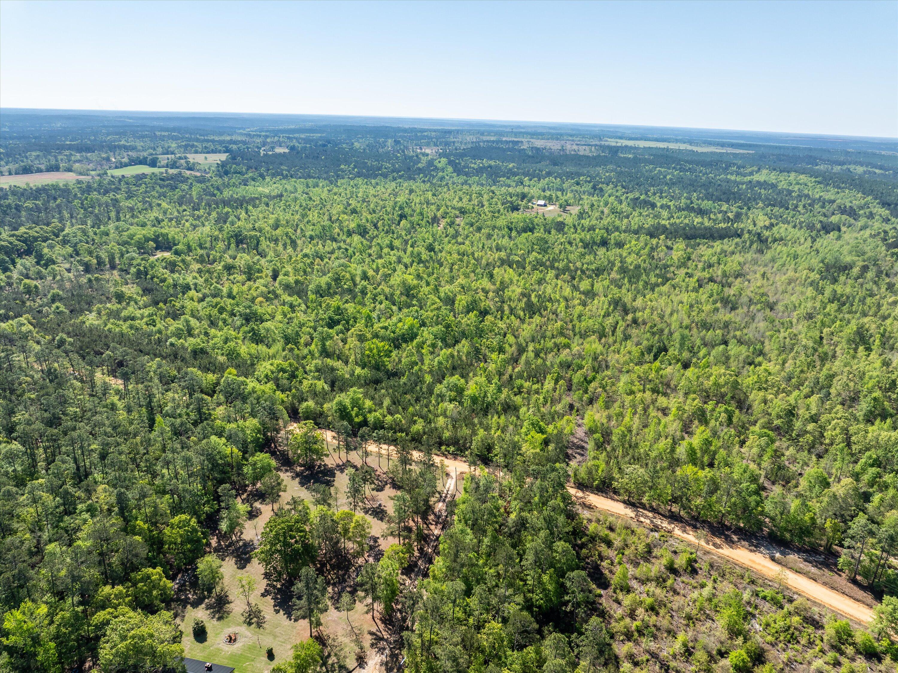 0 Whitaker Road Harlem, GA 30814 - Photo 10 of 28 10-DJI_0656-HDR
