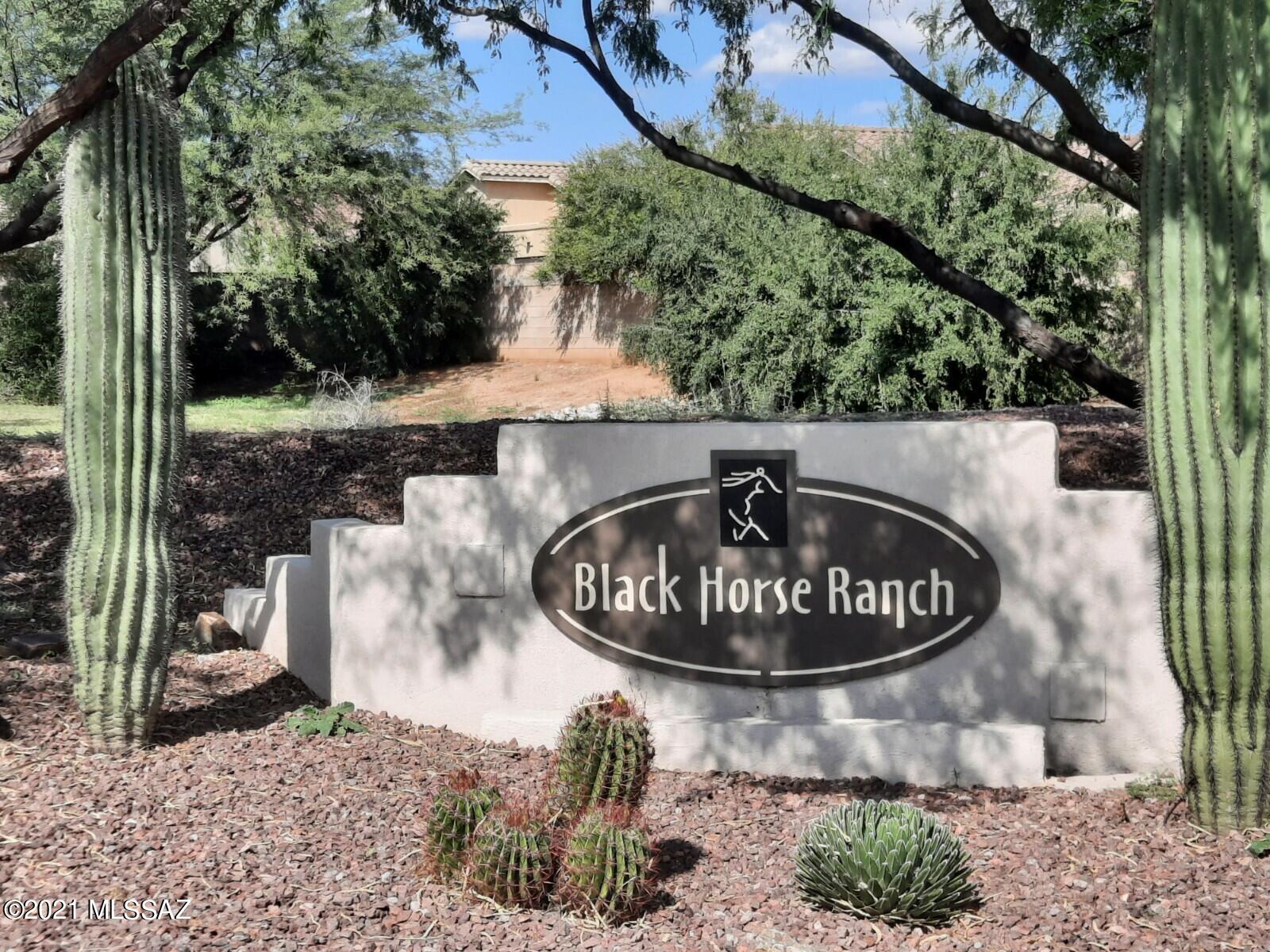 3572 East Fox Trotter Road Tucson, AZ 85739 - Photo 2 of 41 Gallery Image 2