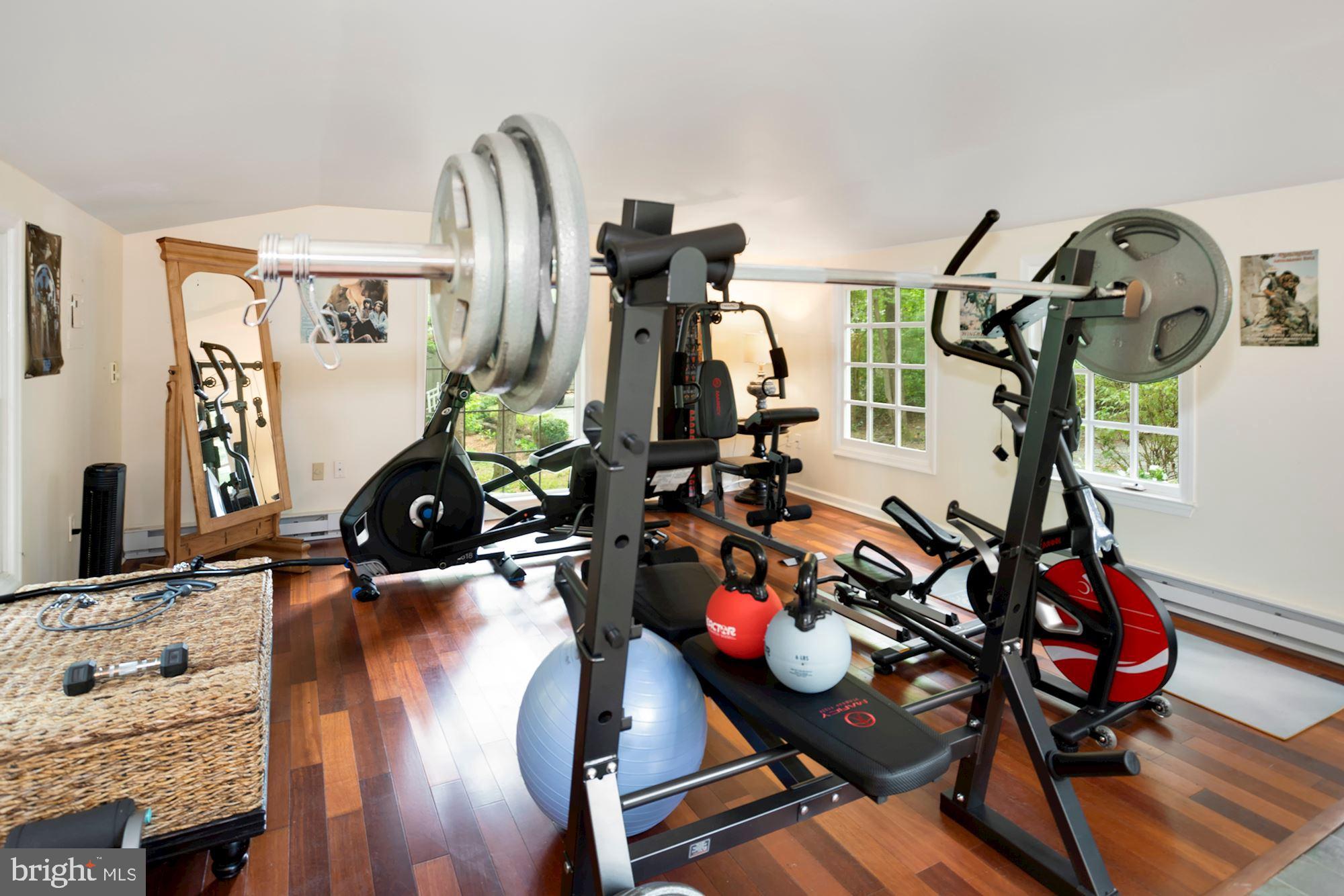 23320 Mersey Road Middleburg, VA 20117 - Photo 47 of 54 Studio/workout space