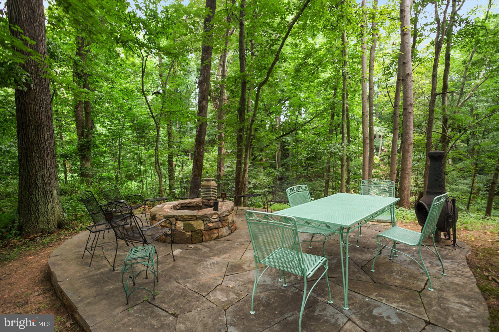 23320 Mersey Road Middleburg, VA 20117 - Photo 53 of 54 Firepit and patio!