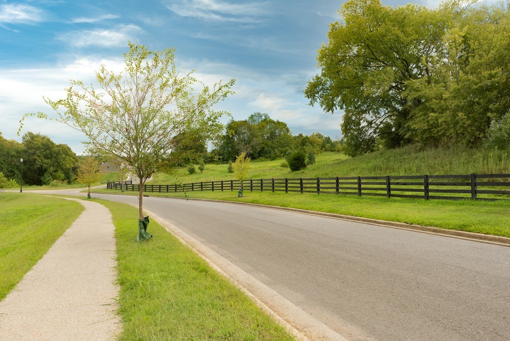 9016 Nestling Ridge College Grove, TN 37046 - Photo 8 of 30 a view of park with large trees