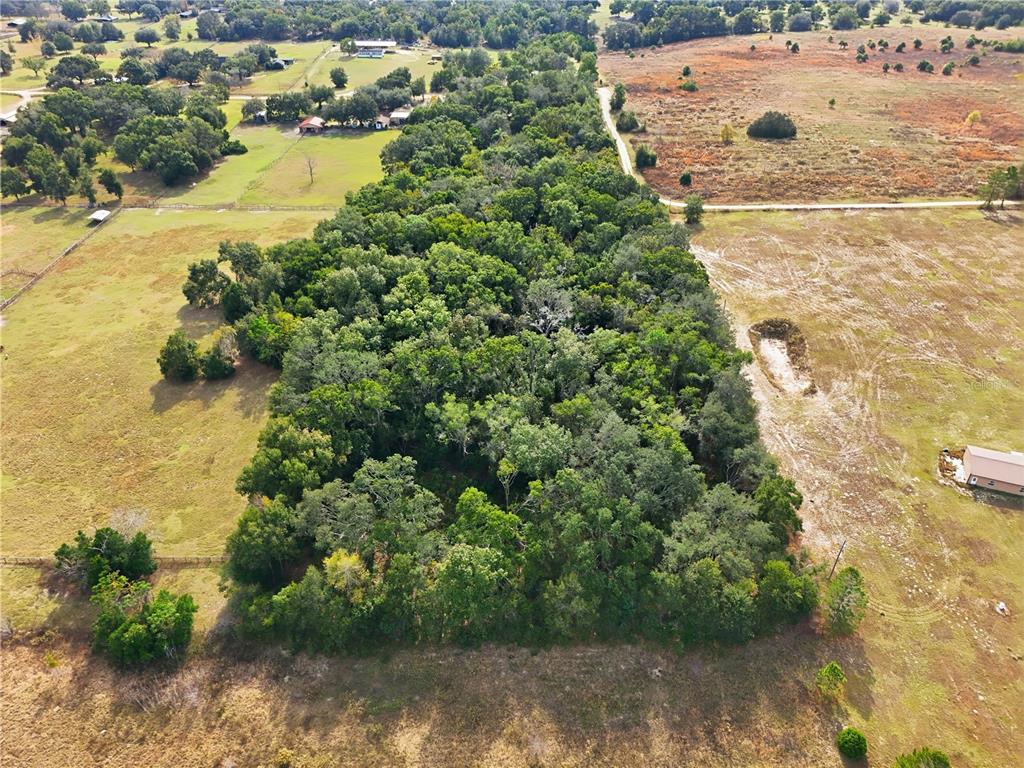 Curle Road Eustis, FL 32736 - Photo 2 of 4