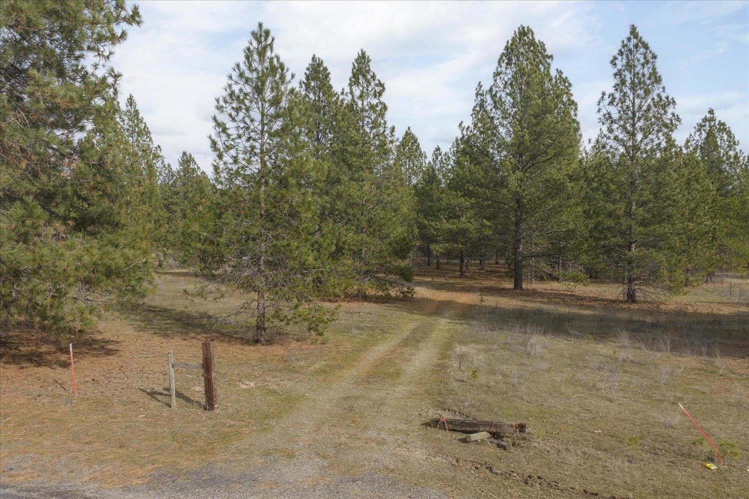 28202 North Bruce Road Chattaroy, WA 99003 - Photo 13 of 38