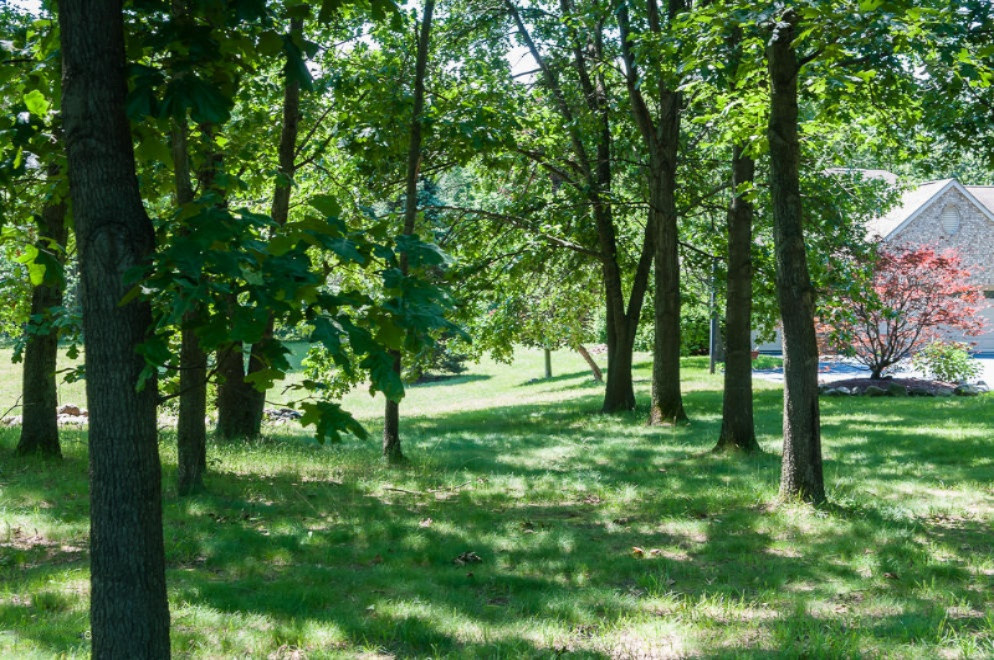2732 Hamilton Road Battle Creek, MI 49017 - Photo 54 of 54 RLN_6057
