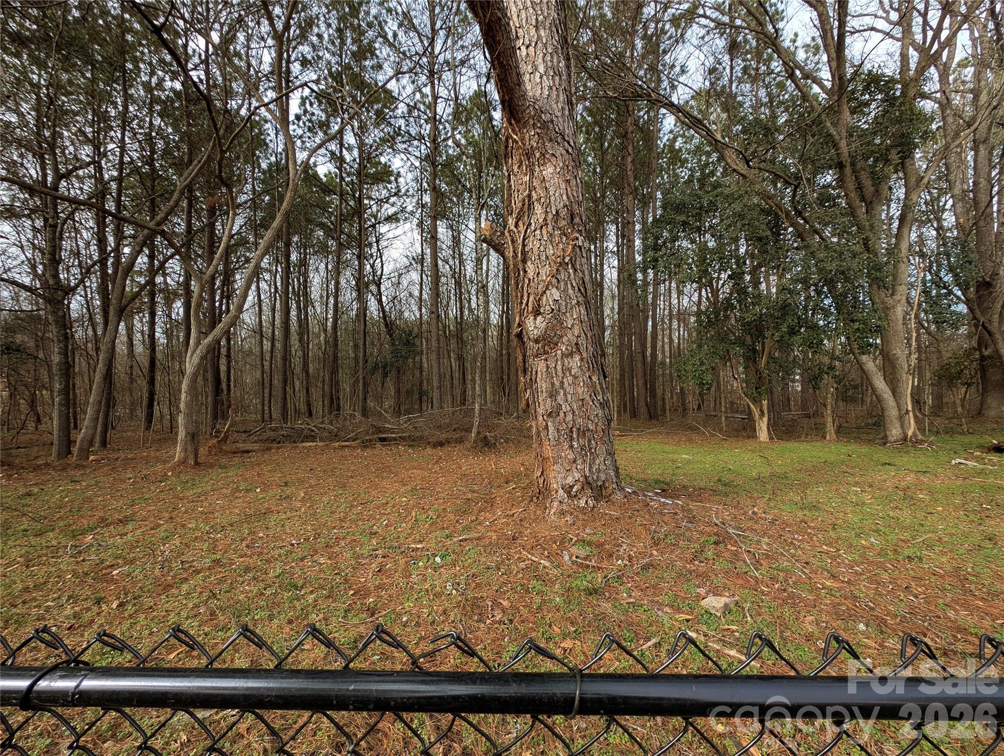 105 Ross Cannon Street York, SC 29745 - Photo 31 of 35