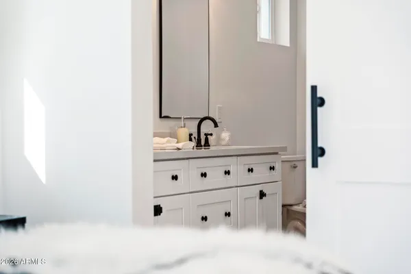 a bathroom with a potted plant on the counter and a mirror