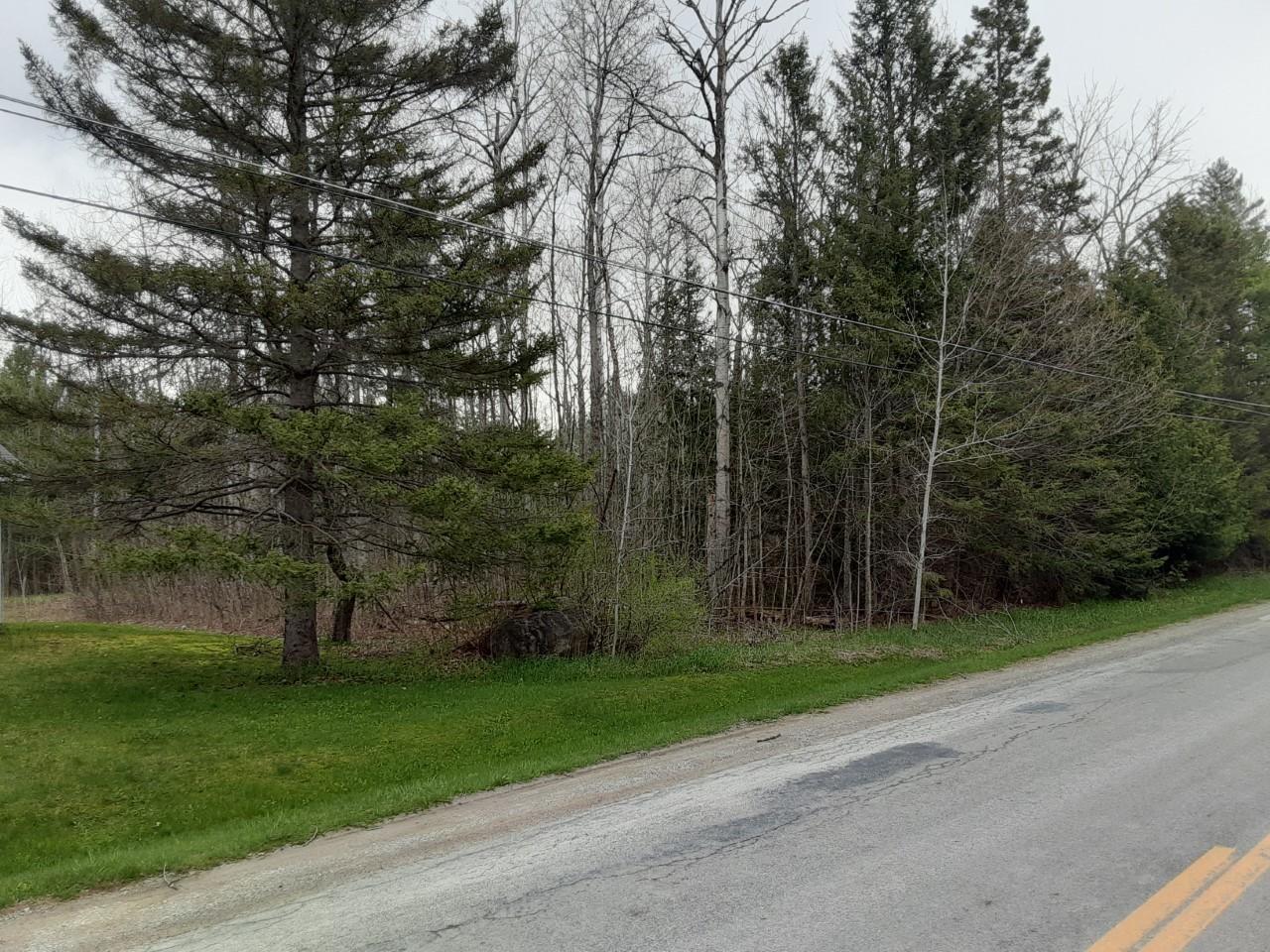 Truckey Road Alpena, MI 49707 - Photo 1 of 3 Gallery Image 1