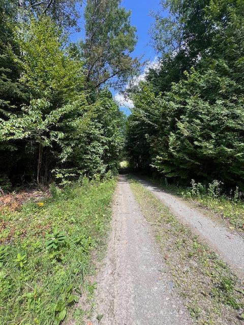 Lot 29.3 Cone Road Amity, ME 04471 - Photo 20 of 20 IMG_6265