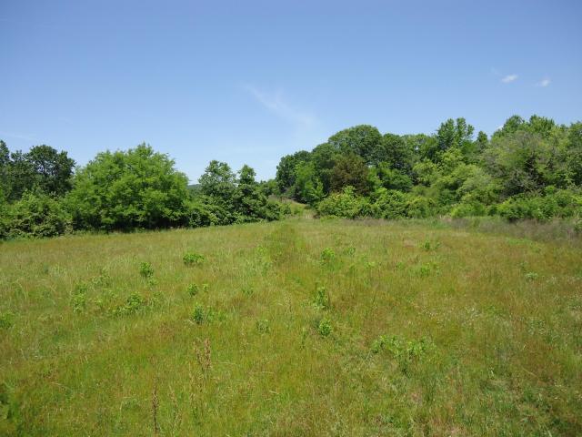 8 Cottonport Road Dayton, TN 37321 - Photo 3 of 4 20150528211445044712000000-o