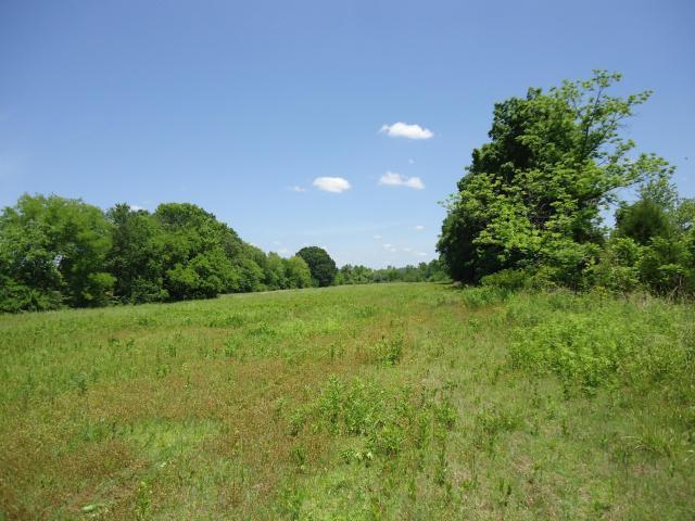 8 Cottonport Road Dayton, TN 37321 - Photo 4 of 4 20150528211554152664000000-o