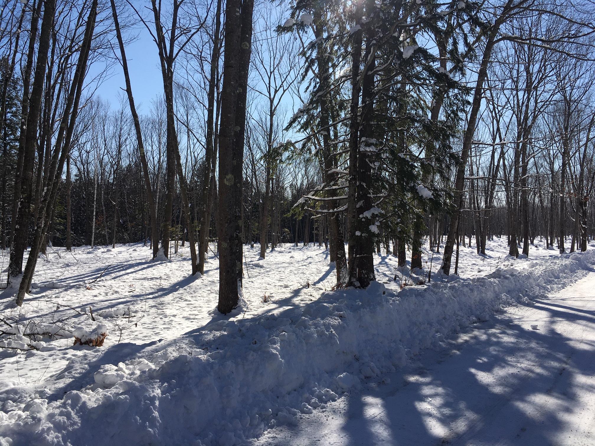 480 Greely Road Extension Cumberland, ME 04021 - Photo 4 of 5 IMG_7329