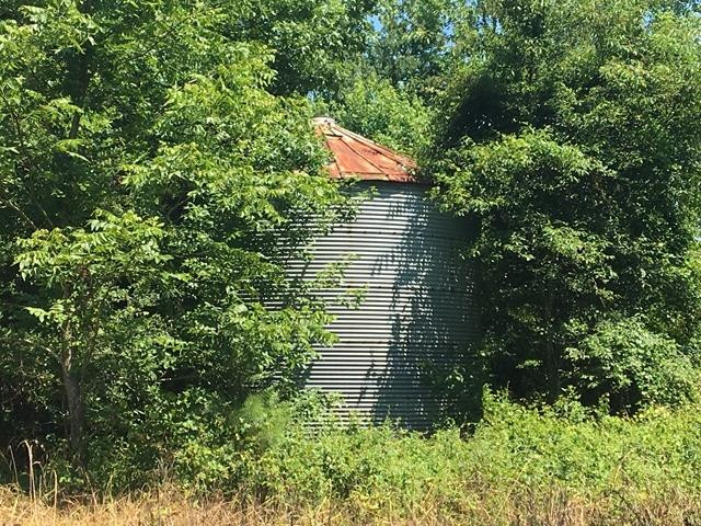 N/a Spruill Road Roper, NC 27970 - Photo 8 of 11 Gallery Image 8
