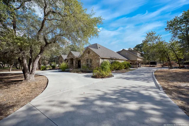 a view of road with large trees