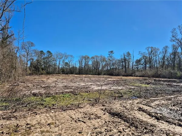 $42,000 | Tract C Stafford Road, Tickfaw, LA 70466