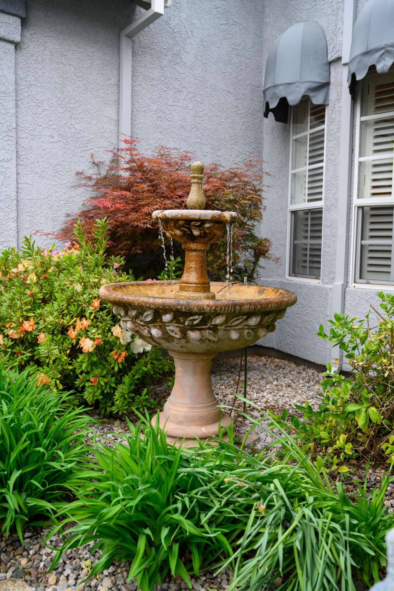 2071 Hope Lane Redding, CA 96003 - Photo 3 of 45 a view of a garden with plants