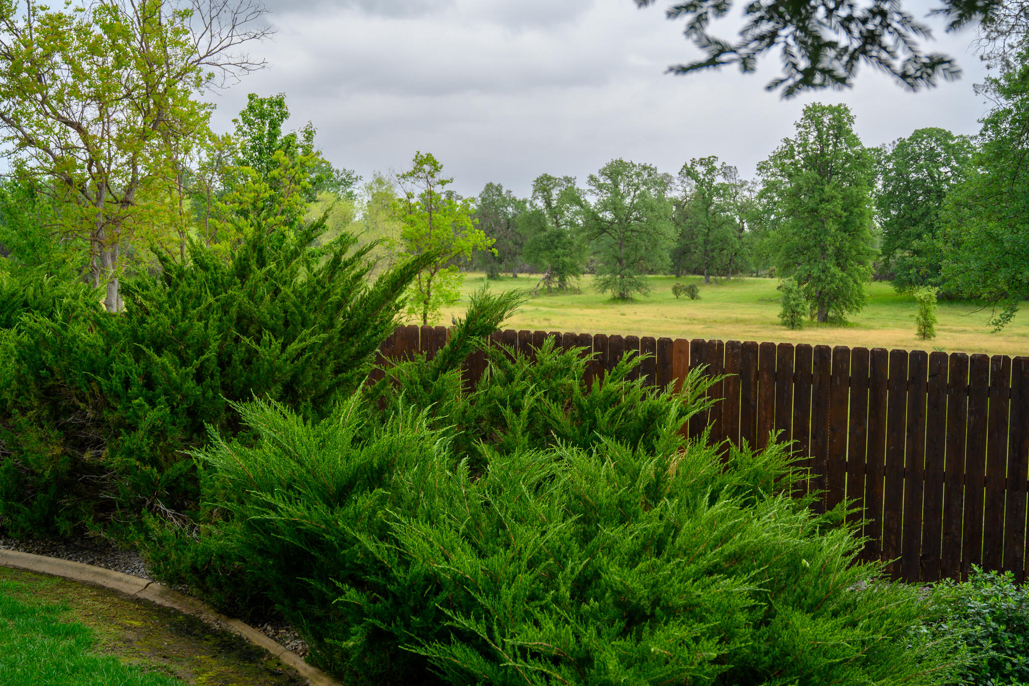 2071 Hope Lane Redding, CA 96003 - Photo 43 of 45 a view of a back yard
