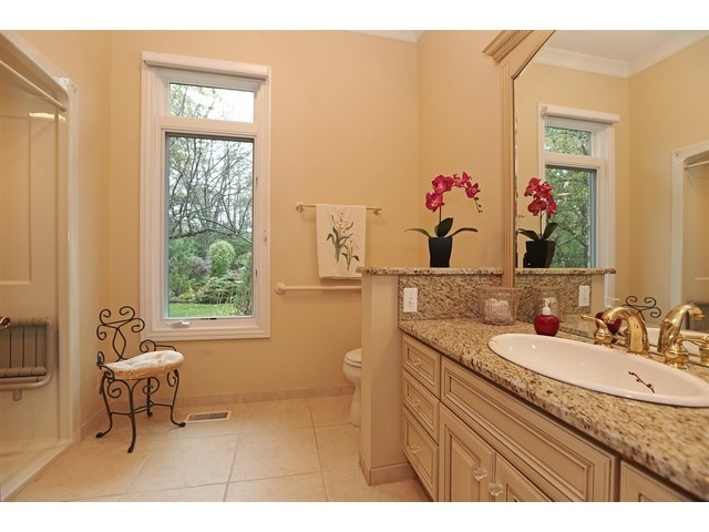 6350 Clarendon Hills Road Willowbrook, IL 60527 - Photo 18 of 25 a bathroom with a granite countertop sink a toilet and a mirror