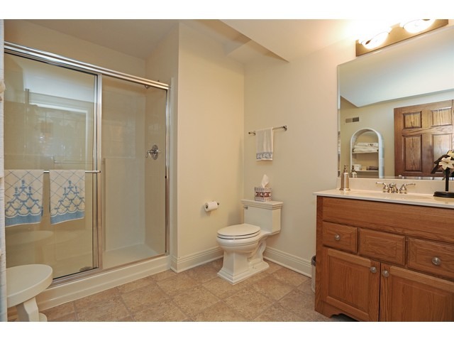 6350 Clarendon Hills Road Willowbrook, IL 60527 - Photo 19 of 25 a bathroom with a sink a toilet and shower