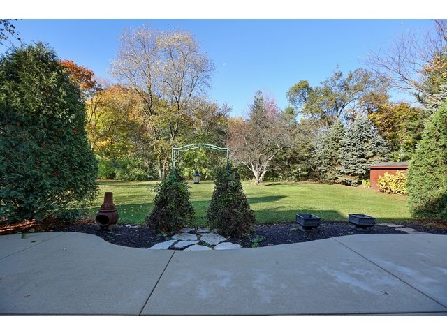 6350 Clarendon Hills Road Willowbrook, IL 60527 - Photo 23 of 25 a view of a yard with an tree