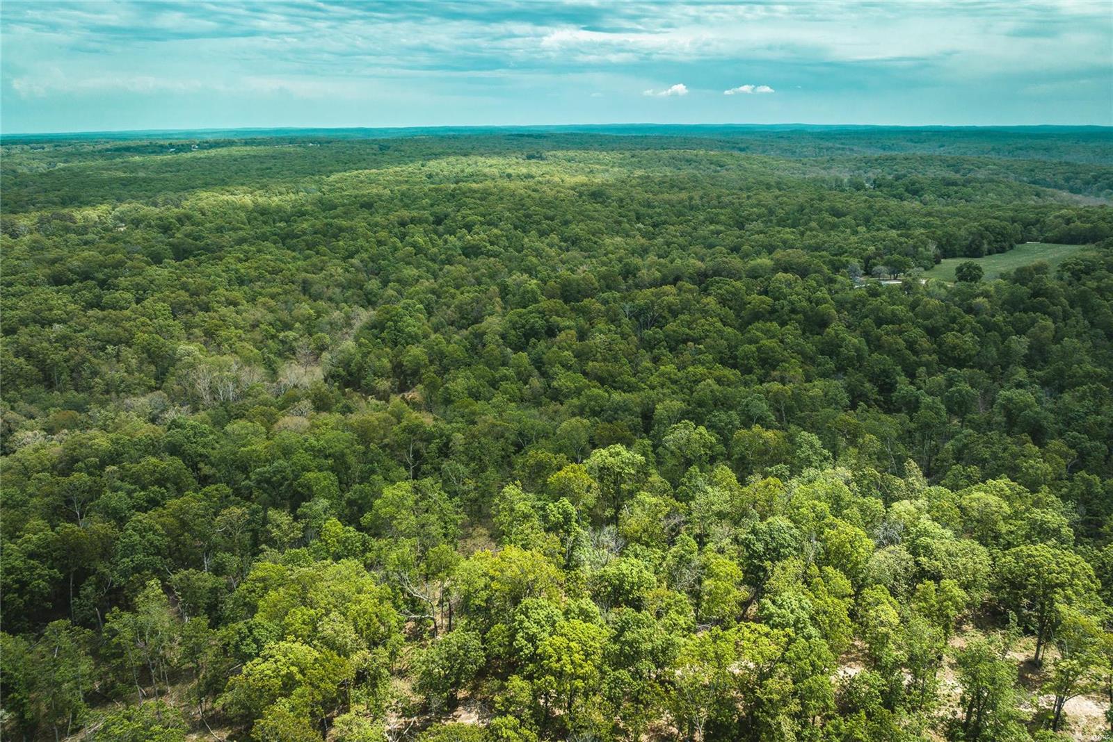 10778 Sumac Road Sullivan, MO 63080 - Photo 12 of 24