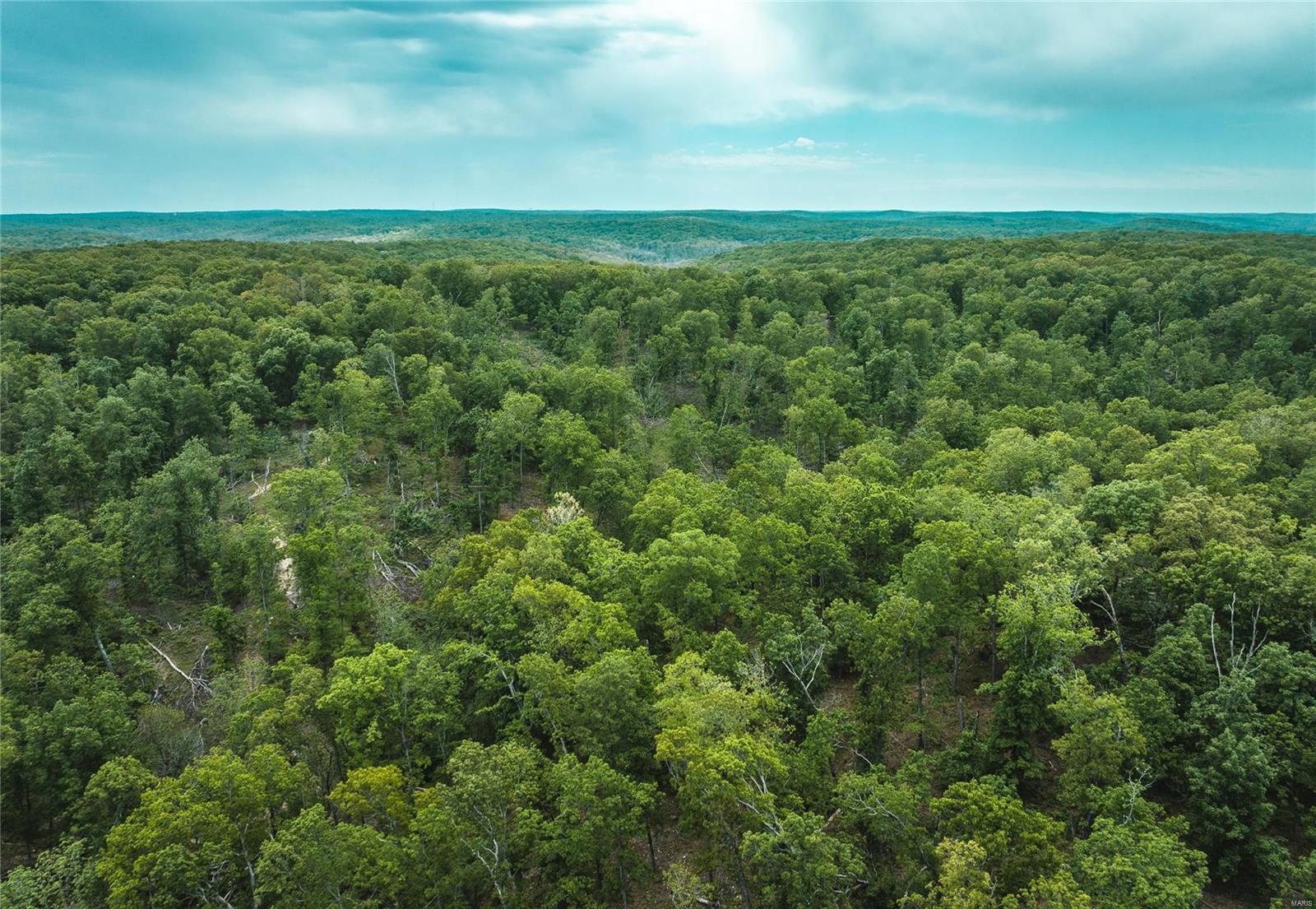10778 Sumac Road Sullivan, MO 63080 - Photo 19 of 24