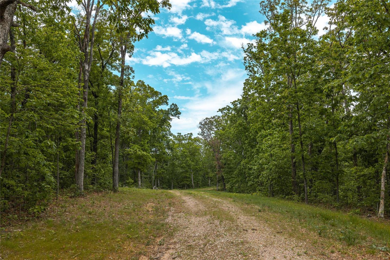 10778 Sumac Road Sullivan, MO 63080 - Photo 22 of 24