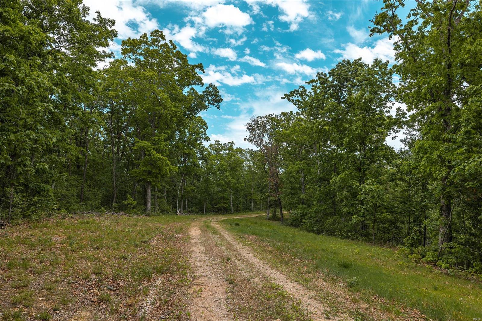 10778 Sumac Road Sullivan, MO 63080 - Photo 23 of 24