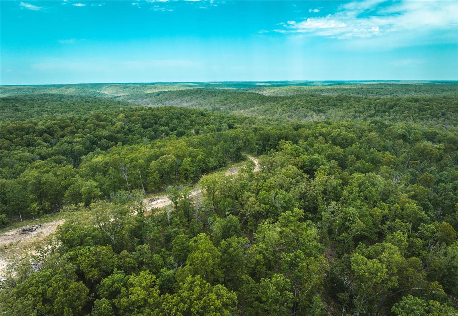 10778 Sumac Road Sullivan, MO 63080 - Photo 5 of 24