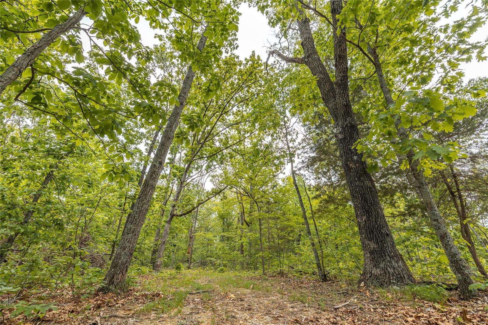 10778 Sumac Road Sullivan, MO 63080 - Photo 9 of 24